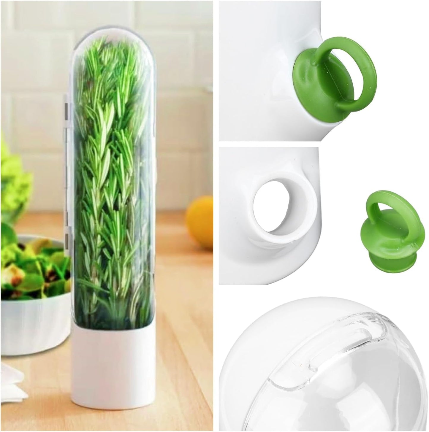 Herb Storage Container