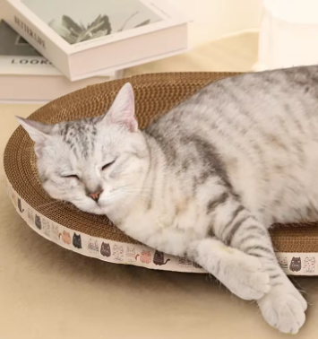 Cat Scratching Board