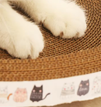 Cat Scratching Board